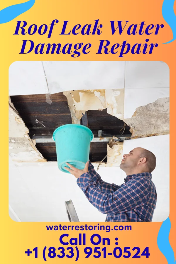 Roof Leak Water Damage Repair in Dupree, SD